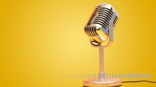 Udemy Audio Clean-Up Mastery inside audio and video files