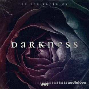 Joe Leytrick Darkness Guitar Kit