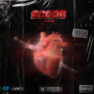 Panndi x Vako Scars (Full Version)