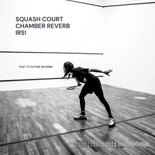 PastToFutureReverbs Squash Court Chamber
