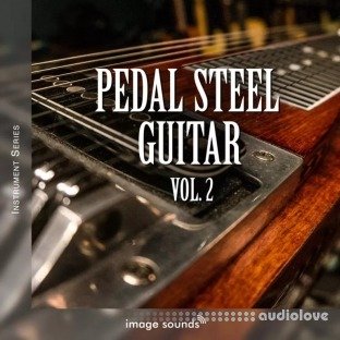 Image Sounds Pedal Steel Guitar 2