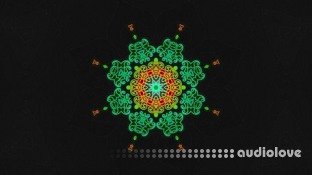 Udemy Divinorum School Intermediate