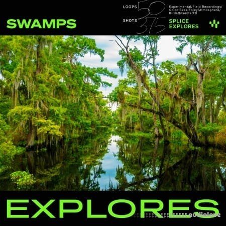 Splice Explores Swamps WAV