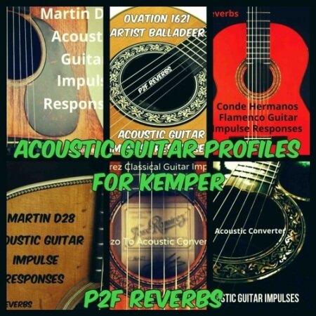 PastToFutureReverbs Acoustic Guitar Profiles for Kemper! Kemper Profiles KiPR