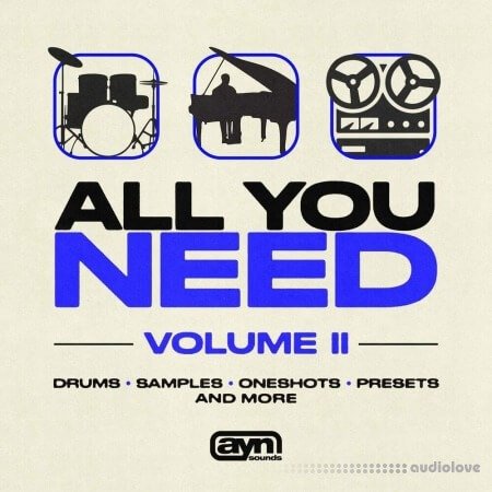 AYN Sounds All You Need Vol. II