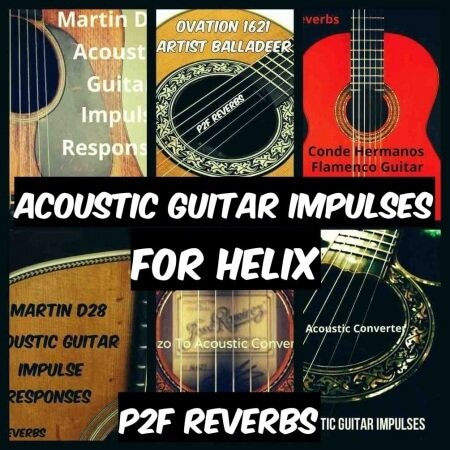 PastToFutureReverbs Acoustic Guitar IR's for Helix BUNDLE! Bonus D-45!