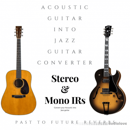 PastToFutureReverbs Acoustic Guitar Into Jazz Guitar Converter