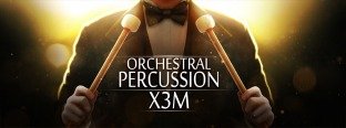 Strezov Sampling Orchestral Percussion X3M (Player Edition)