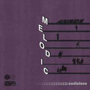 AYN Sounds Melodic Sounds Multi-Kit