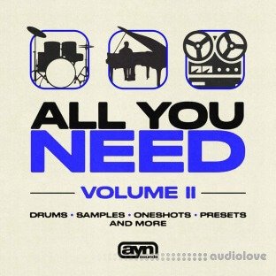 AYN Sounds All You Need Vol. II