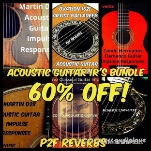 PastToFutureReverbs Acoustic Guitar IR's BUNDLE