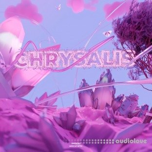 Synthetic x Upmadeit CHRYSALIS Portal Bank