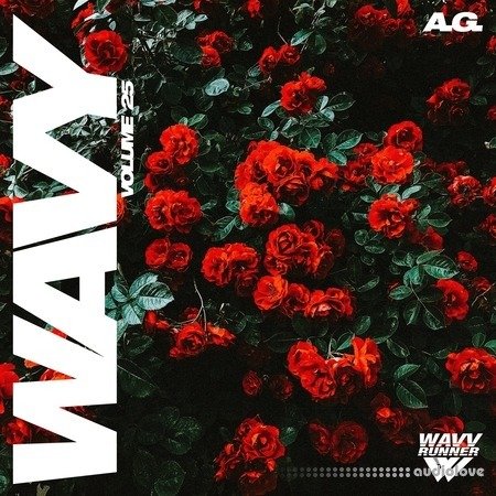 A.G. Wavy Volume 25 WAV