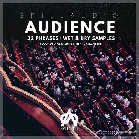 Spillaudio Audience