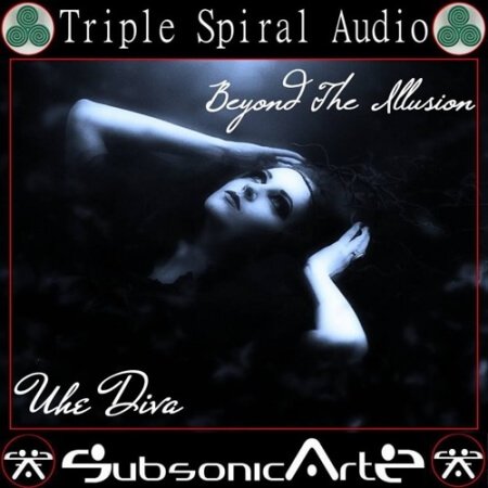 SubsonicArtz Beyond the Illusion
