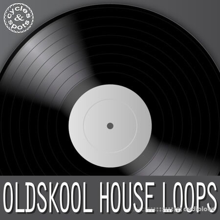 Cycles & Spots Oldskool House Loops WAV