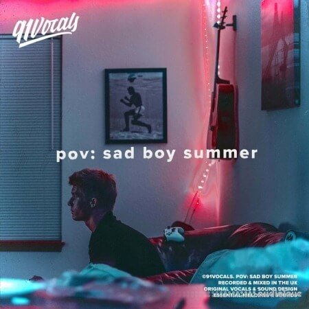 91Vocals pov sad boy summer WAV