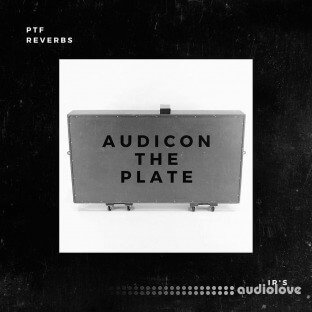 PastToFutureReverbs Audicon The Plate“ Tennessee Reverb IR's!