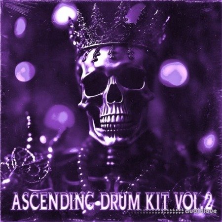 SAOL Ascending Drum Kit Vol.2 WAV MiDi Synth Presets