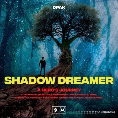 Montage by Splice Sounds Shadow Dreamer A Hero's Journey WAV
