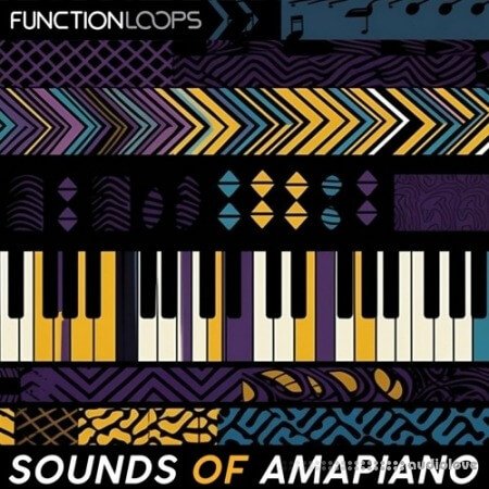 Function Loops Sounds Of Amapiano WAV