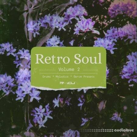 Renraku Retro Soul 2 WAV Synth Presets