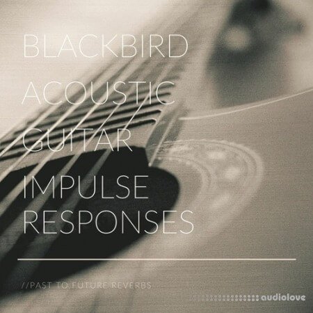 PastToFutureReverbs Blackbird Acoustic Guitar