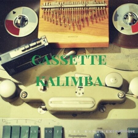 PastToFutureReverbs Cassette Kalimba