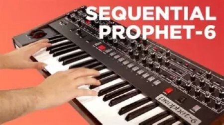 Paul Dither's Prophet-6 Patches Synth Presets