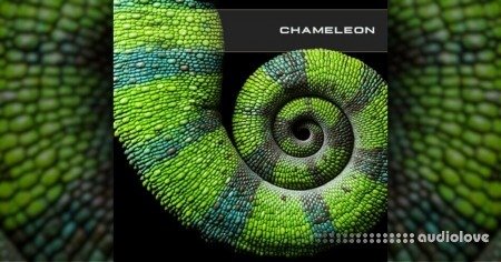 SoundsDevine Chameleon Synth Presets