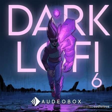 AudeoBox Dark Lo Fi 6