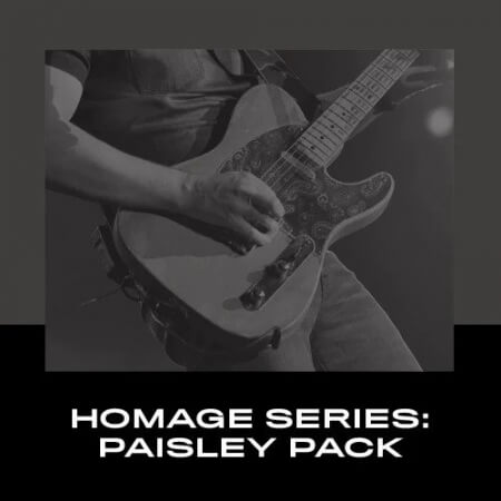 Alchemy Captures Homage Series Paisley ToneX Pack