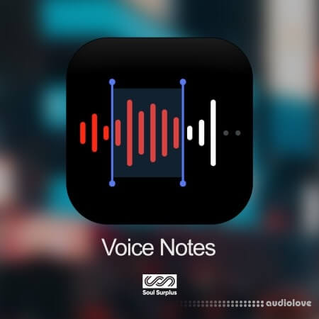 Soul Surplus Voice Notes