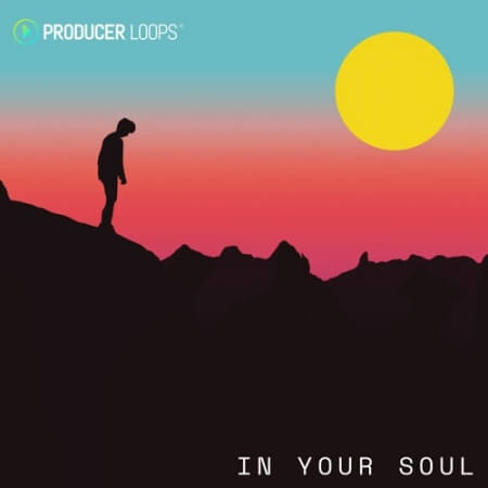 Producer Loops In Your Soul MULTiFORMAT