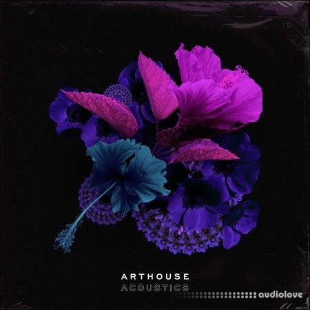 Arthouse Acoustics GloFi: RnB and Hip Hop WAV