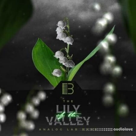 Brandon Chapa Lily Of The Valley (Analog Lab Bank) Synth Presets