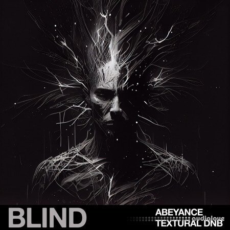 Blind Audio Abeyance Textural DnB