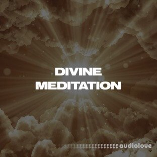 W6RST Tim Henson Divine Meditation Tabs