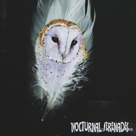 NightOWL Nocturnal Serenades (Compositions and Stems)
