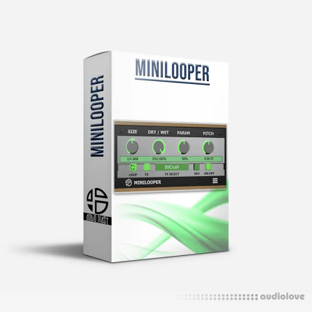 Audio Blast MiniLooper v1.0.0 WiN