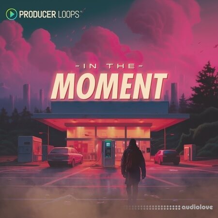 Producer Loops In The Moment MULTiFORMAT