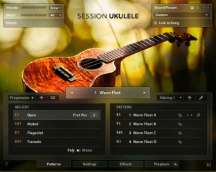 Native Instruments Session Ukulele