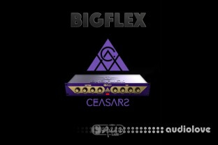 F-AudioLabs BigFlex