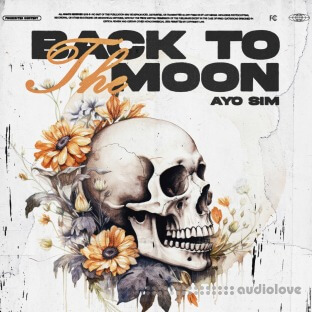 Sim Back to the Moon Bundle