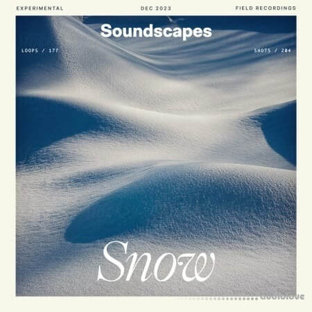 Splice Sounds Soundscapes Snow WAV