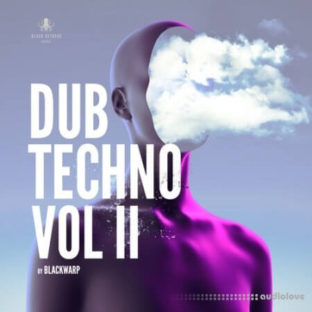 Black Octopus Dub Techno Vol.2 WAV Synth Presets