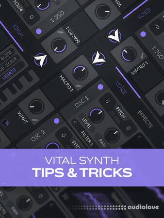 Groove3 Vital Synth Tips and Tricks TUTORiAL
