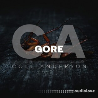 C.A. Sound Inc Gore