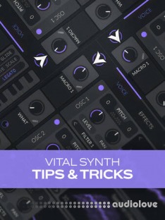 Groove3 Vital Synth Tips and Tricks