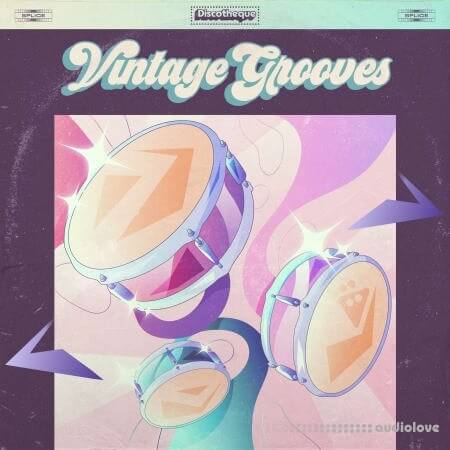 Discotheque Vintage Grooves